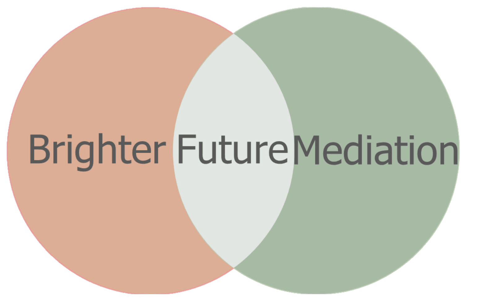 bfm logo-Brighter Future Mediation Ltd