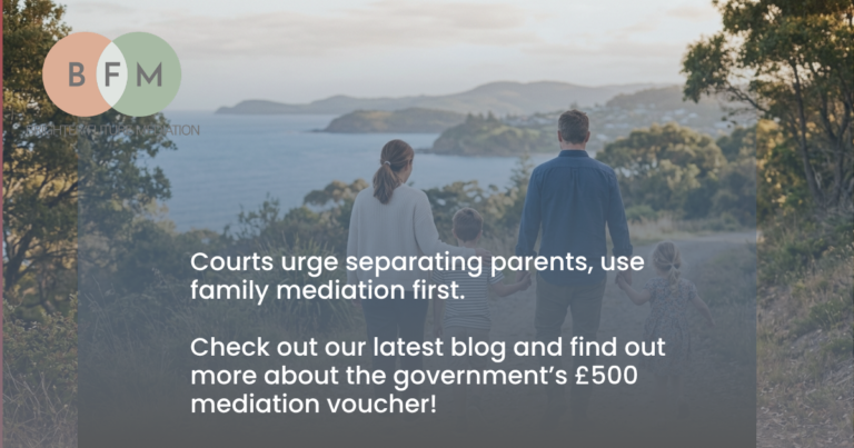 family mediation
